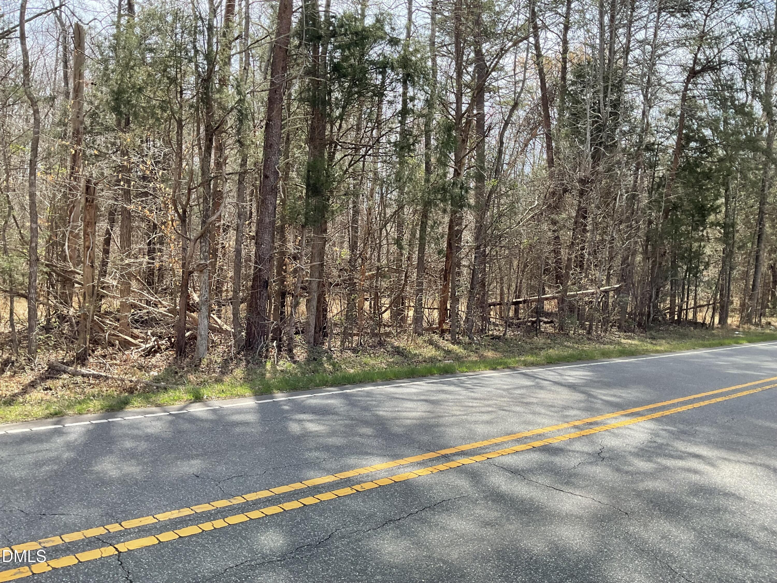0 Turner Road Mebane, NC 27302 - Photo 10 of 25 IMG_0153