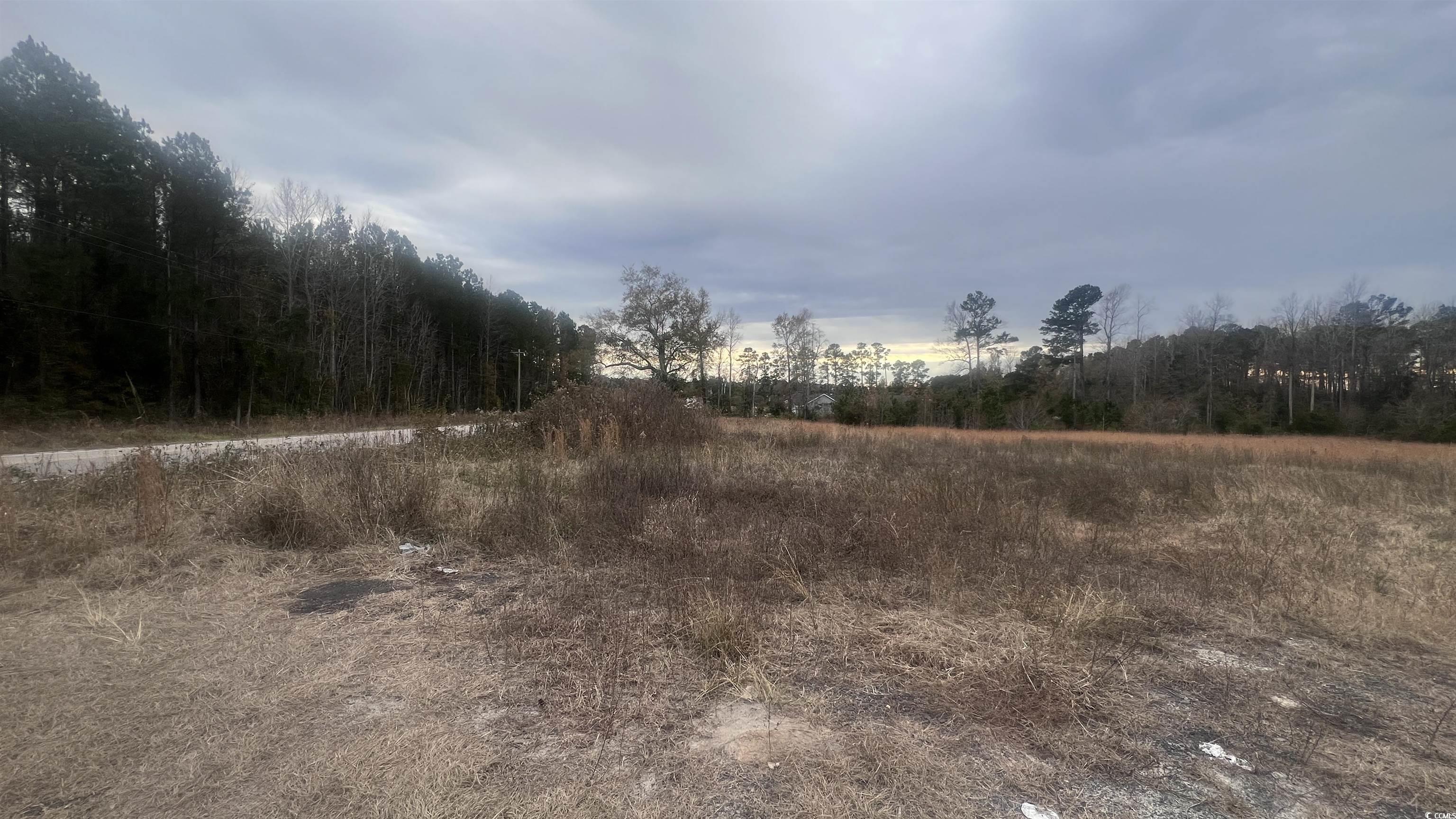 348 Highway 348 Loris, SC 29569 - Photo 2 of 8