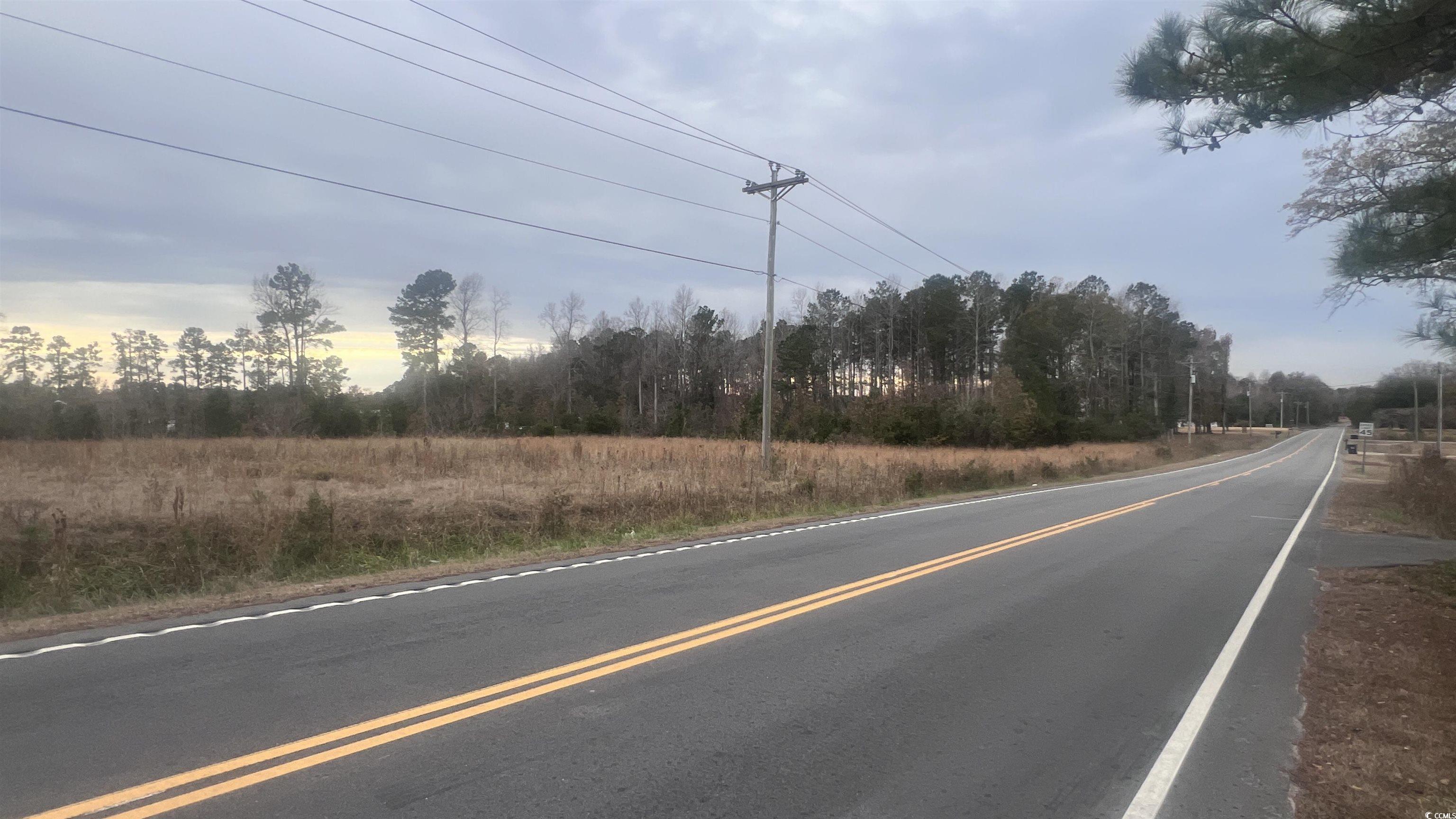 348 Highway 348 Loris, SC 29569 - Photo 3 of 8