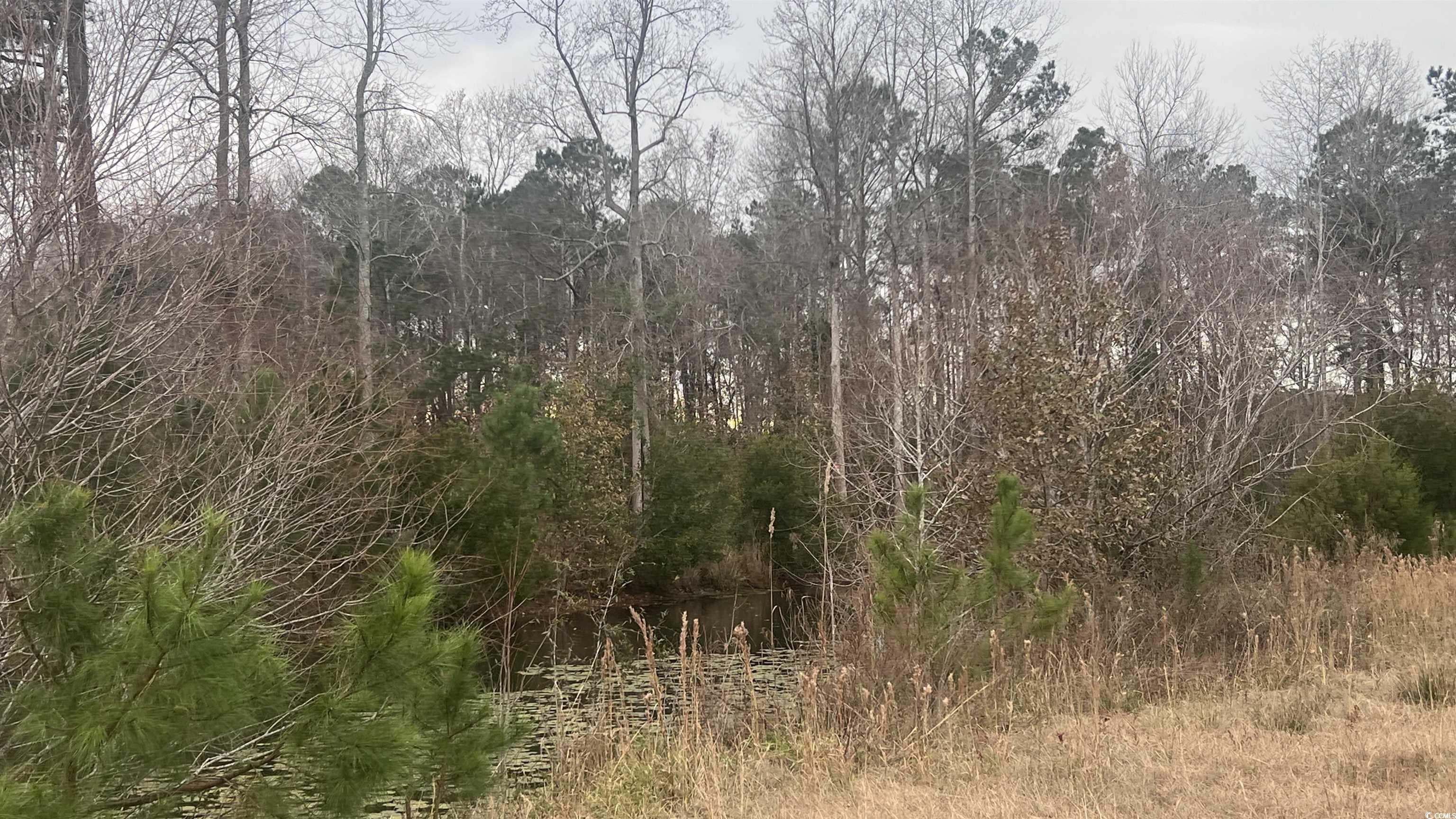 348 Highway 348 Loris, SC 29569 - Photo 4 of 8