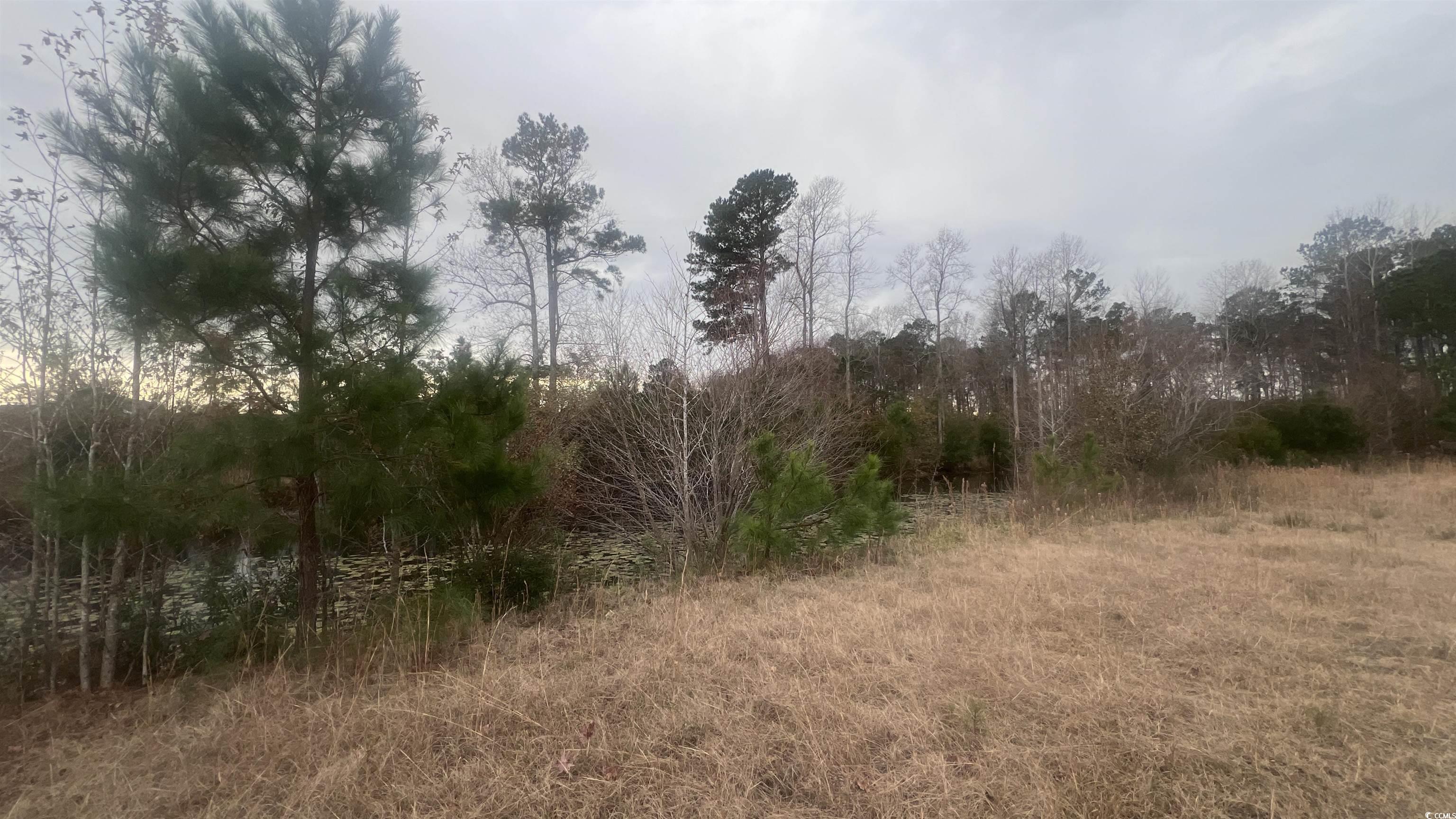348 Highway 348 Loris, SC 29569 - Photo 5 of 8
