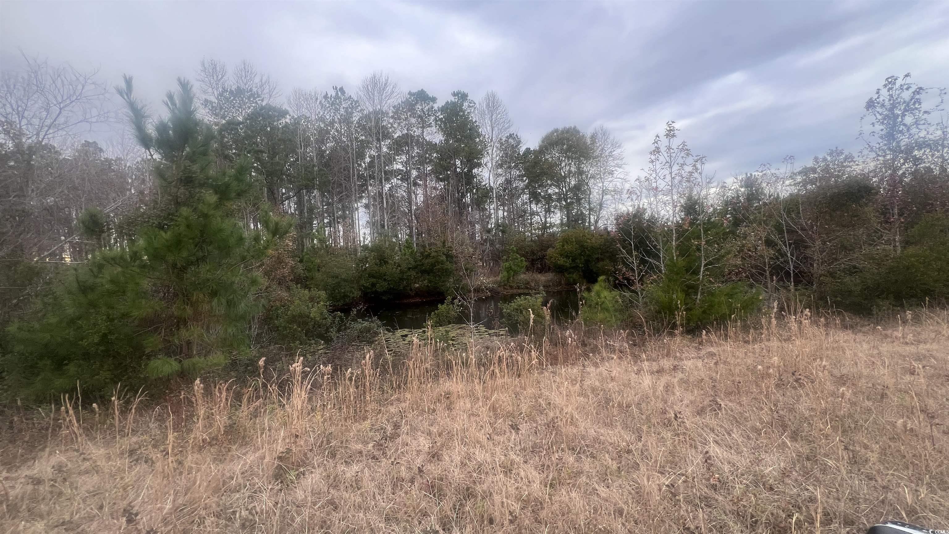 348 Highway 348 Loris, SC 29569 - Photo 6 of 8