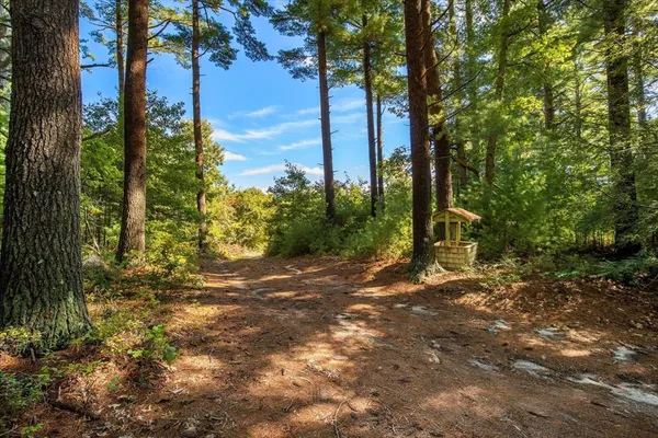 a backyard of a house with lots of green space