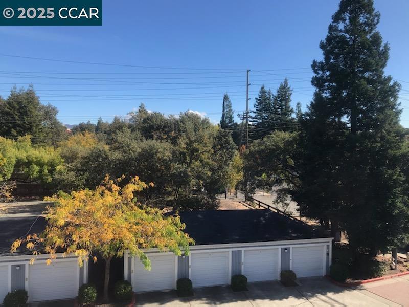 1300 Walden Road Walnut Creek, CA 94597 - Photo 46 of 52 a view of a yard