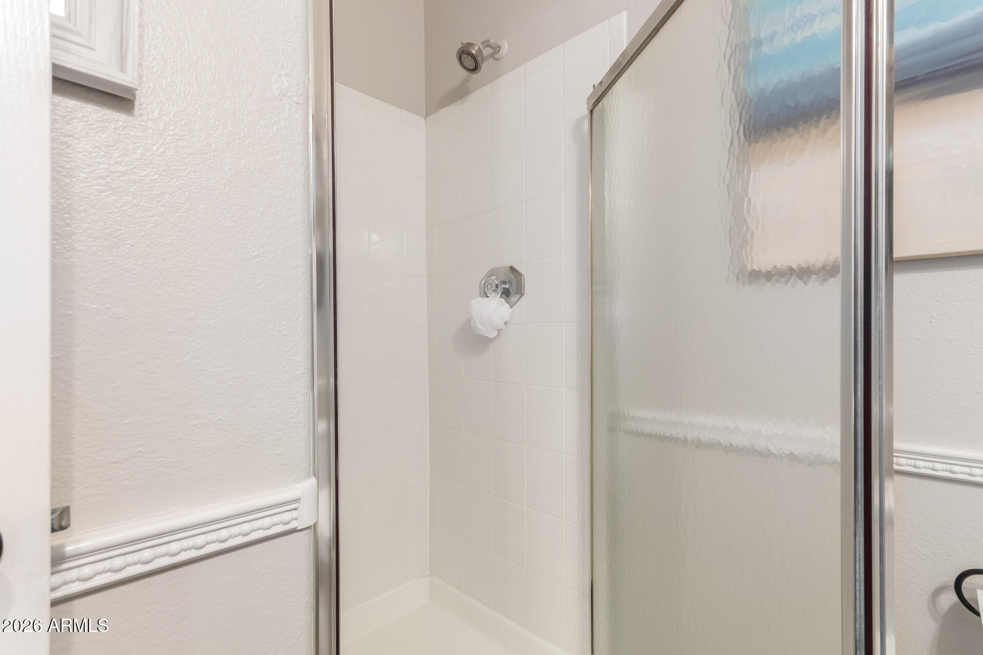 240 East Gail Court Gilbert, AZ 85296 - Photo 19 of 49 a bathroom with a glass shower door
