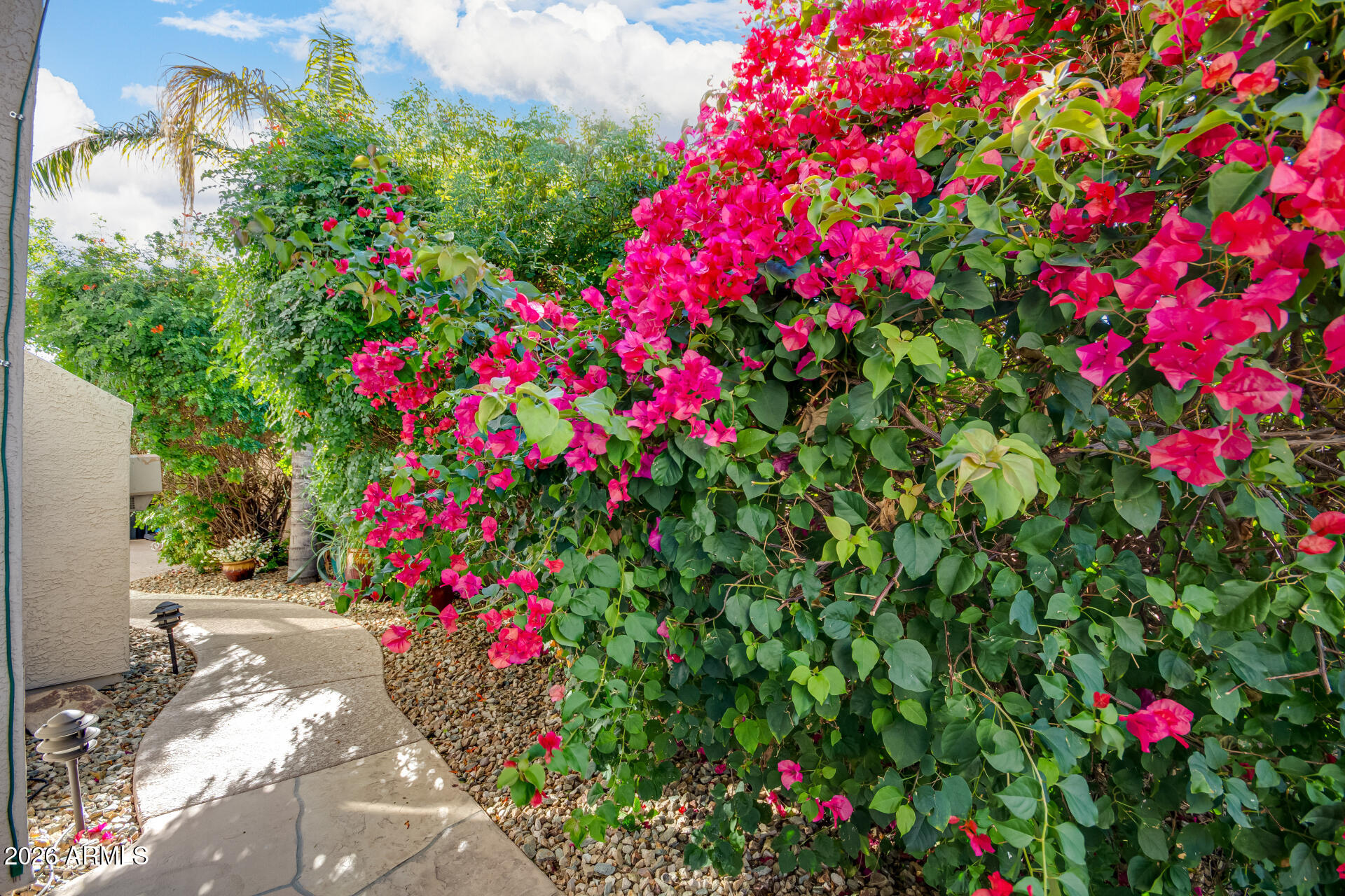240 East Gail Court Gilbert, AZ 85296 - Photo 49 of 49 a flower view