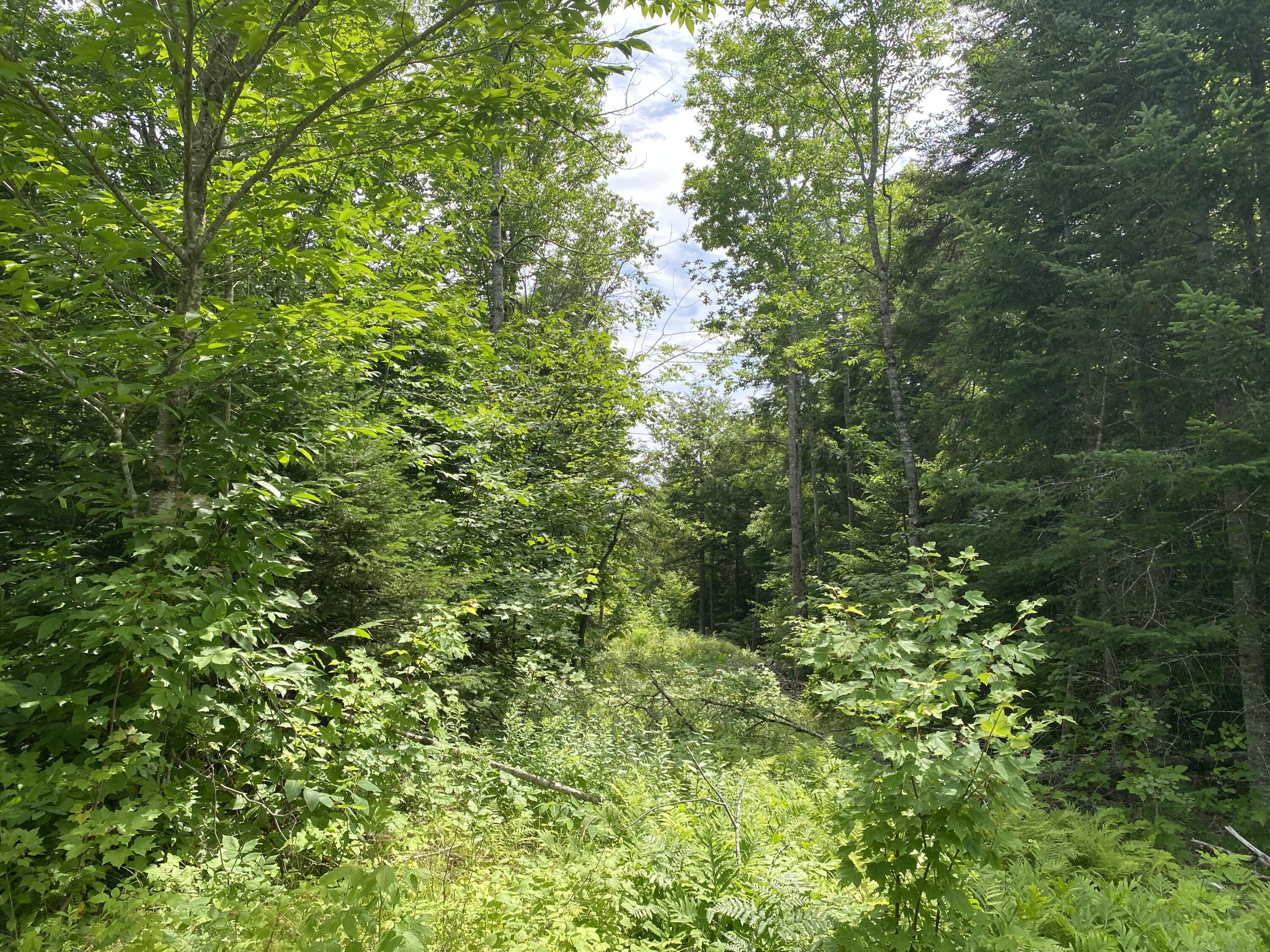 1509 Otis Road Ellsworth, ME 04605 - Photo 19 of 26 IMG_3890
