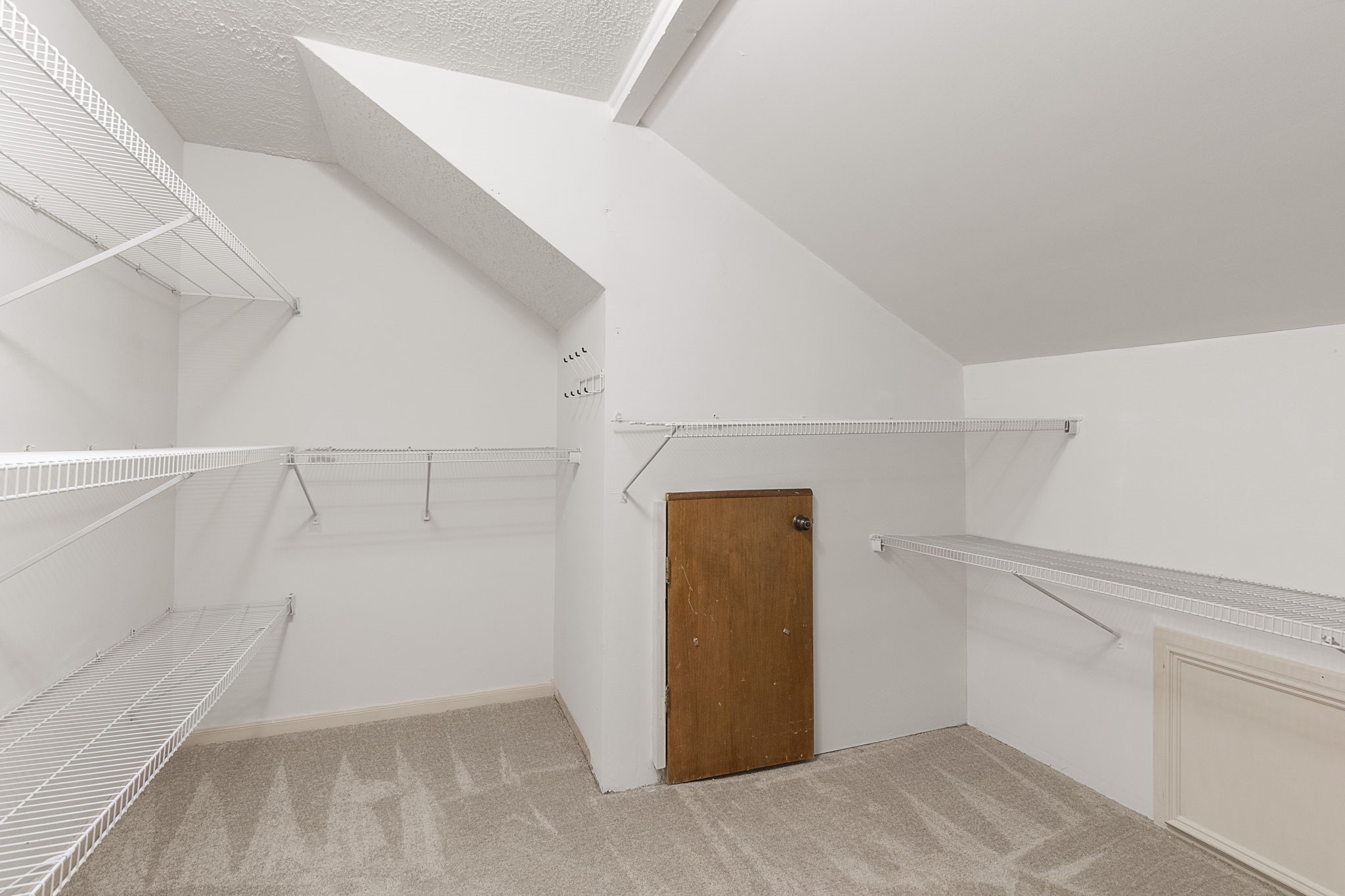 17706 Asphodel Lane Spring, TX 77379 - Photo 38 of 48 Extra large storage space