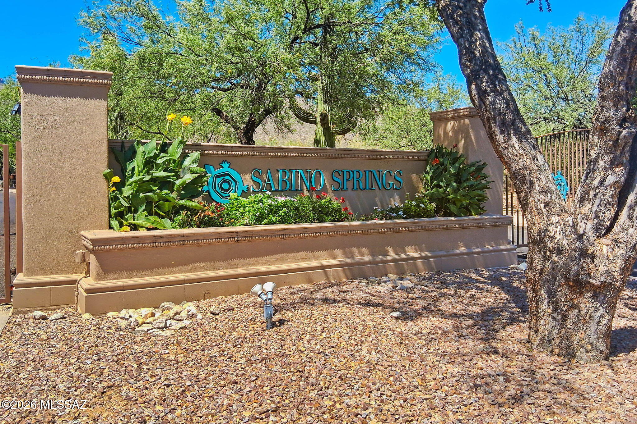 9740 East Spring Ridge Place Tucson, AZ 85749 - Photo 40 of 46