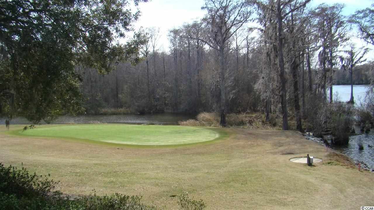4505 Fulton Place Murrells Inlet, SC 29576 - Photo 25 of 25 Gallery Image 25