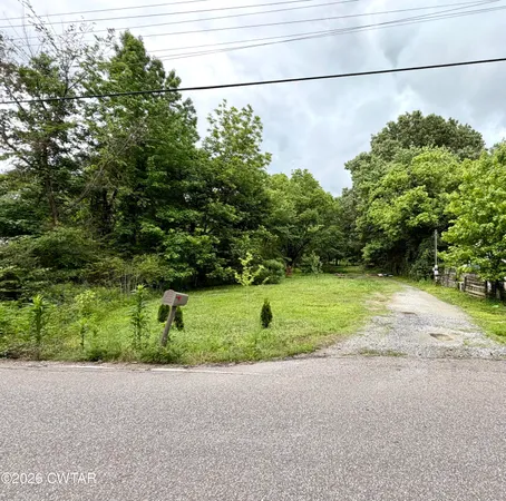 a green field with trees in the background