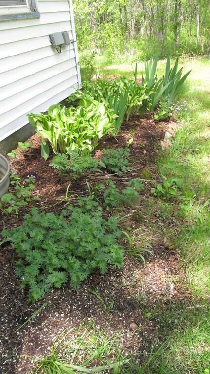 542 Hudson Road Glenburn, ME 04401 - Photo 35 of 35 Photo
