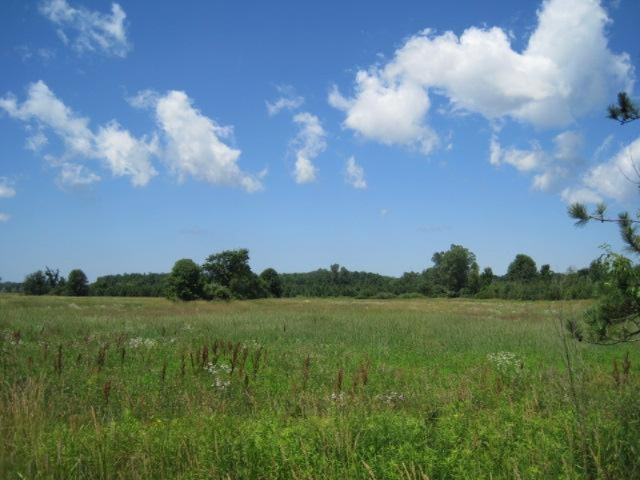South Sullivan Road Coopersville, MI 49404 - Photo 1 of 11 Primary Photo