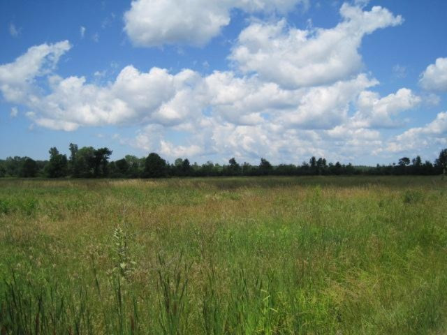 South Sullivan Road Coopersville, MI 49404 - Photo 10 of 11 Additional Photo