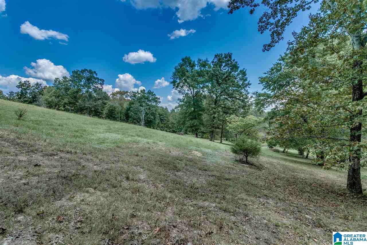 184 Jenkins Farm Road Helena, AL 35080 - Photo 10 of 25