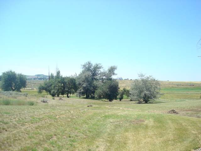 51490 Euclid Road East Reardan, WA 99029 - Photo 8 of 9