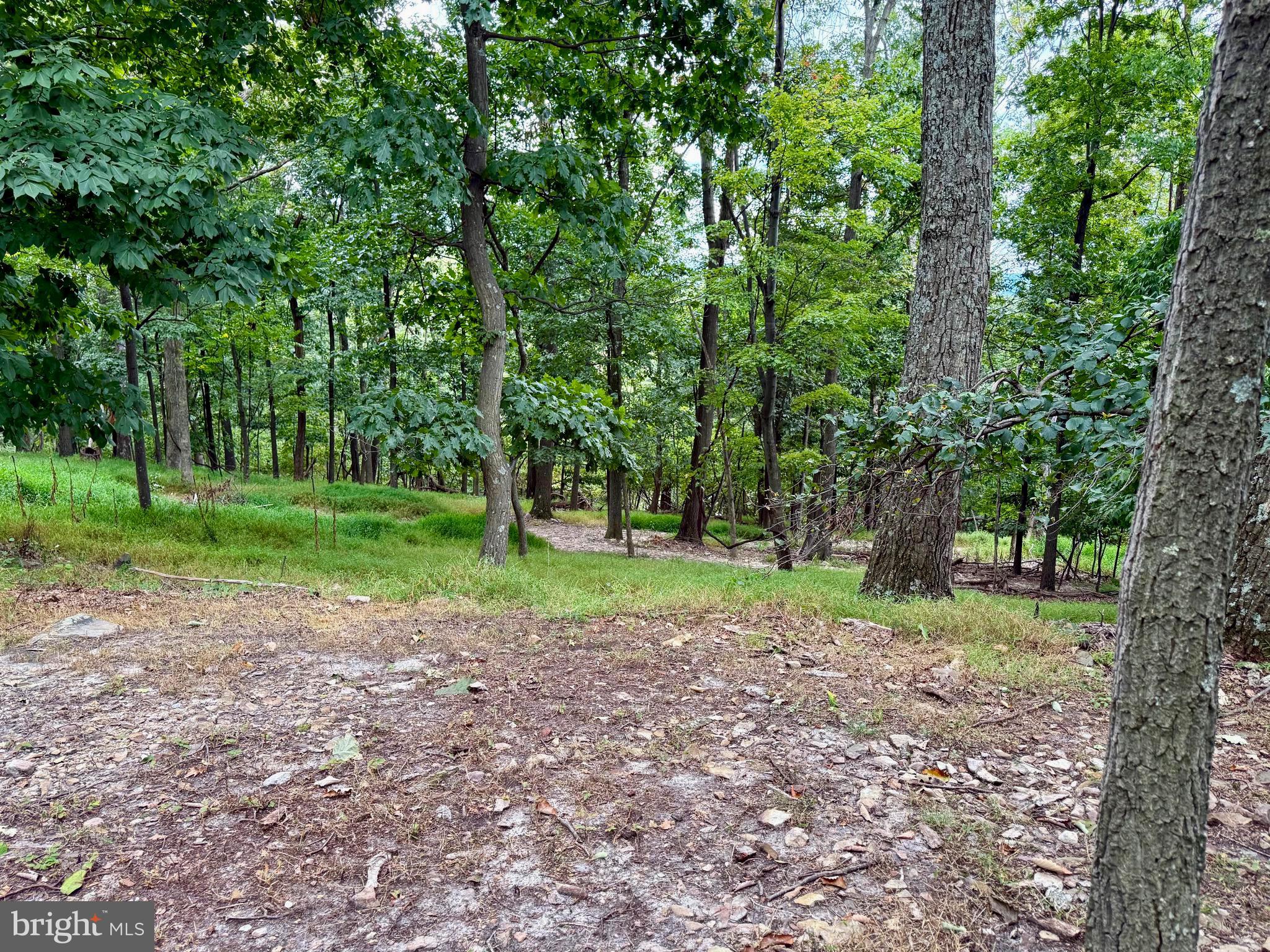 348 Trapper Ridge Lane Hedgesville, WV 25427 - Photo 24 of 41 a view of a yard with tree s