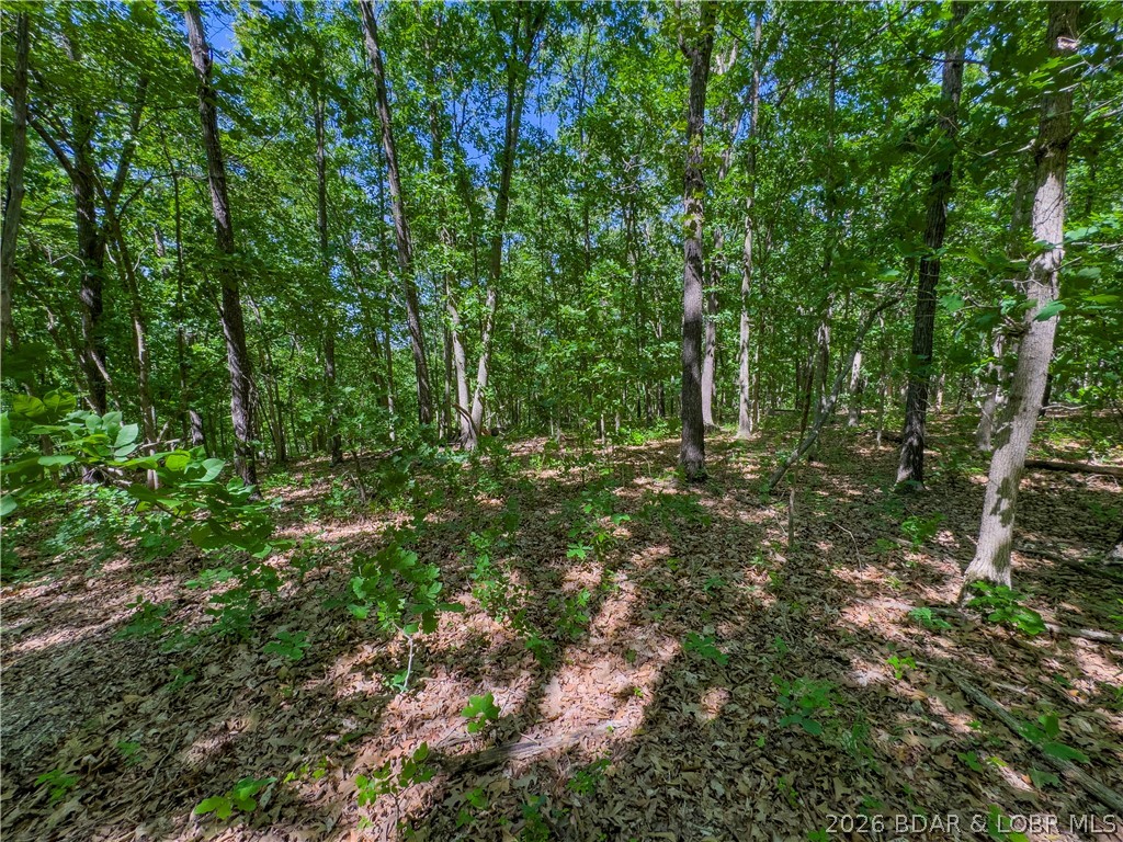 Valley Spring Road Camdenton, MO 65020 - Photo 18 of 19