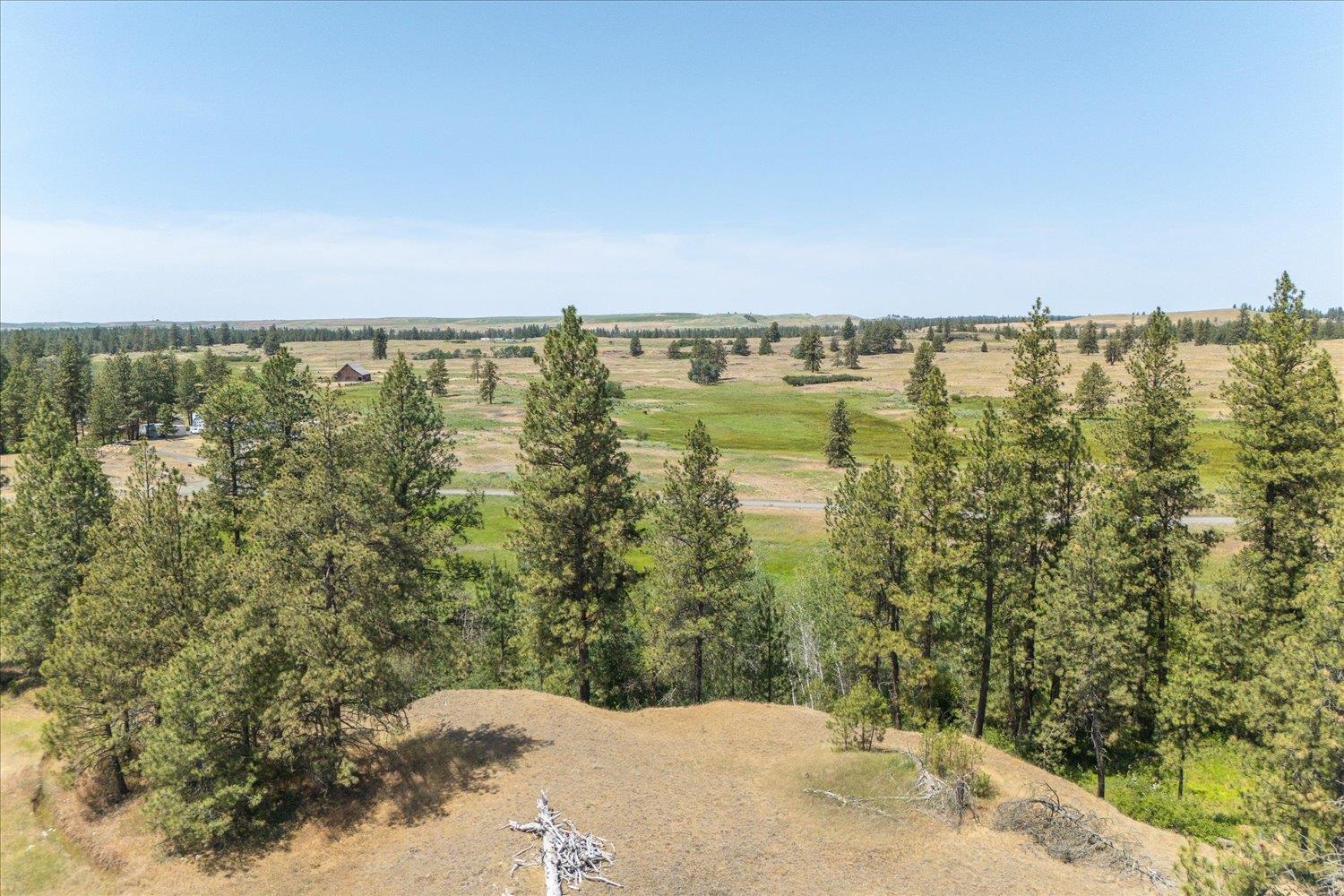 36000 South Bootstrap Lane, Unit PARCEL 11091 9026 Cheney, WA 99004 - Photo 3 of 15