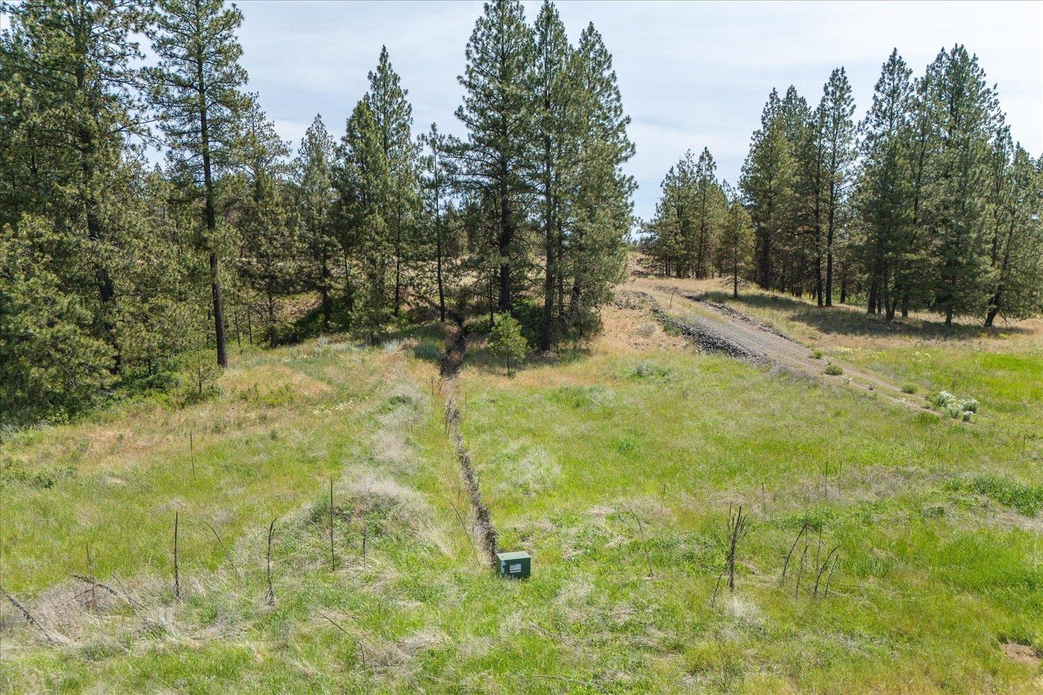 36000 South Bootstrap Lane, Unit PARCEL 11091 9026 Cheney, WA 99004 - Photo 4 of 15