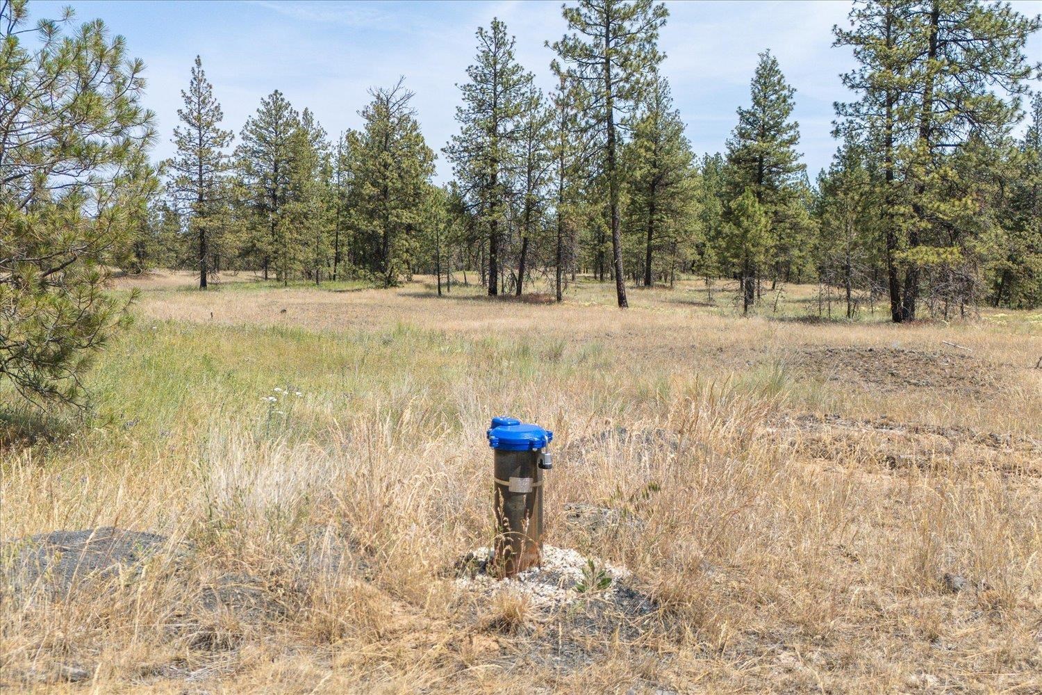 36000 South Bootstrap Lane, Unit PARCEL 11091 9026 Cheney, WA 99004 - Photo 5 of 15