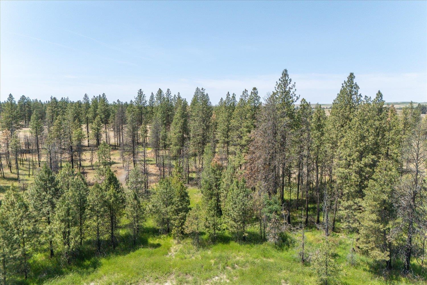 36000 South Bootstrap Lane, Unit PARCEL 11091 9026 Cheney, WA 99004 - Photo 8 of 15