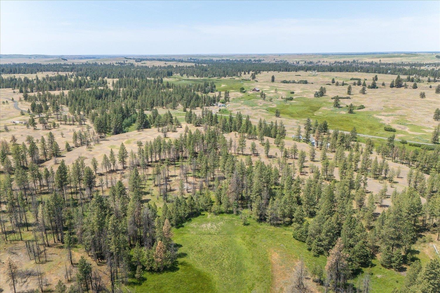 36000 South Bootstrap Lane, Unit PARCEL 11091 9026 Cheney, WA 99004 - Photo 9 of 15