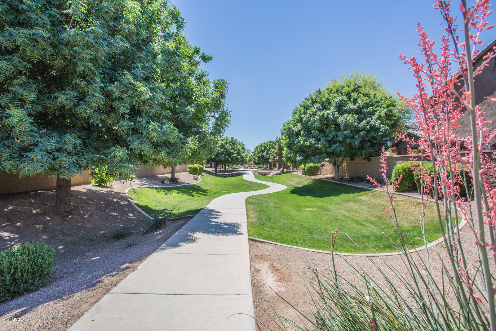 3101 South Joshua Tree Lane Gilbert, AZ 85295 - Photo 75 of 88 greenbelt