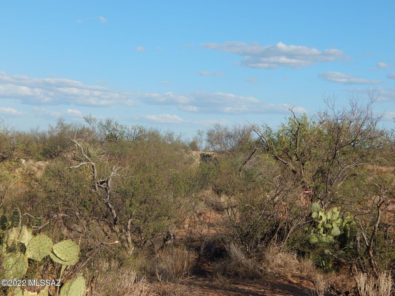 Tbd South Tbd S Undetermin D Road, Unit 4 02 AC Oracle, AZ 85623 - Photo 10 of 10