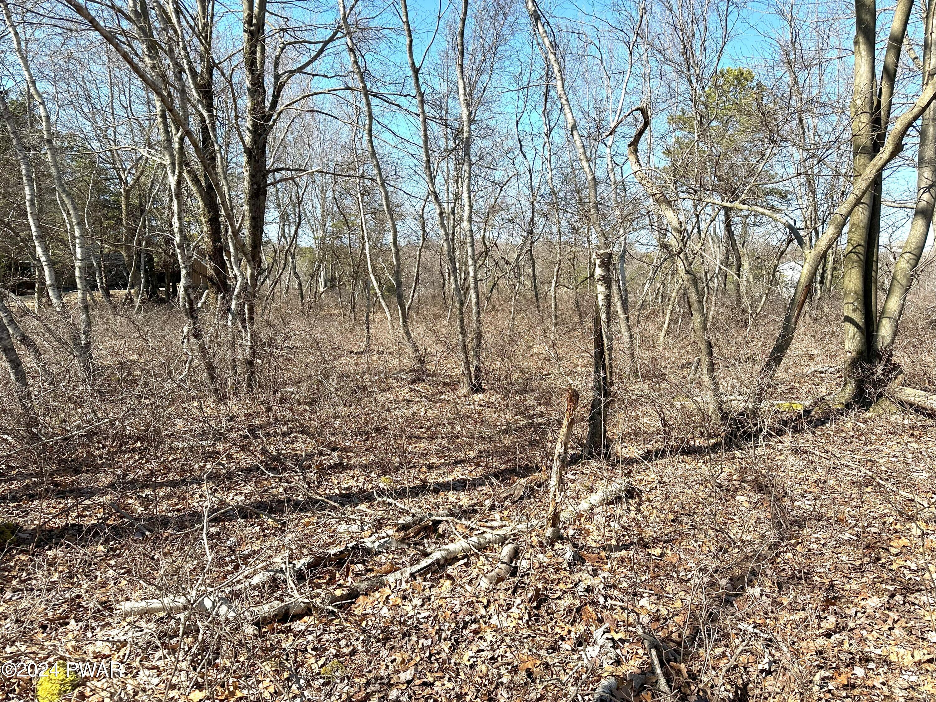 Beaver Dam Road Long Pond, PA 18334 - Photo 7 of 13