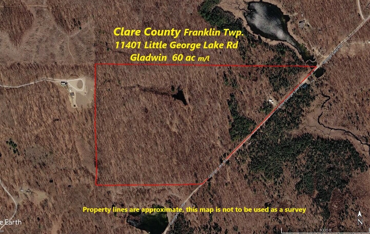 11401 Little George Lake Road Gladwin, MI 48624 - Photo 3 of 72