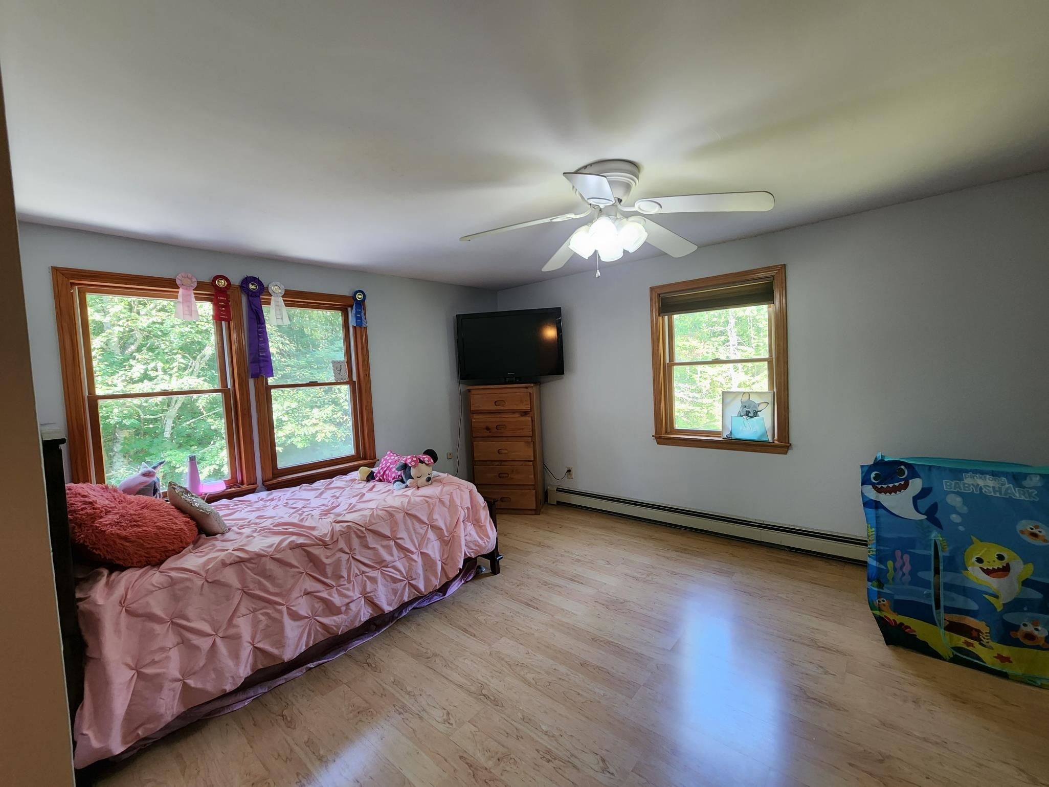 236 Garland Road Barnstead, NH 03218 - Photo 14 of 25