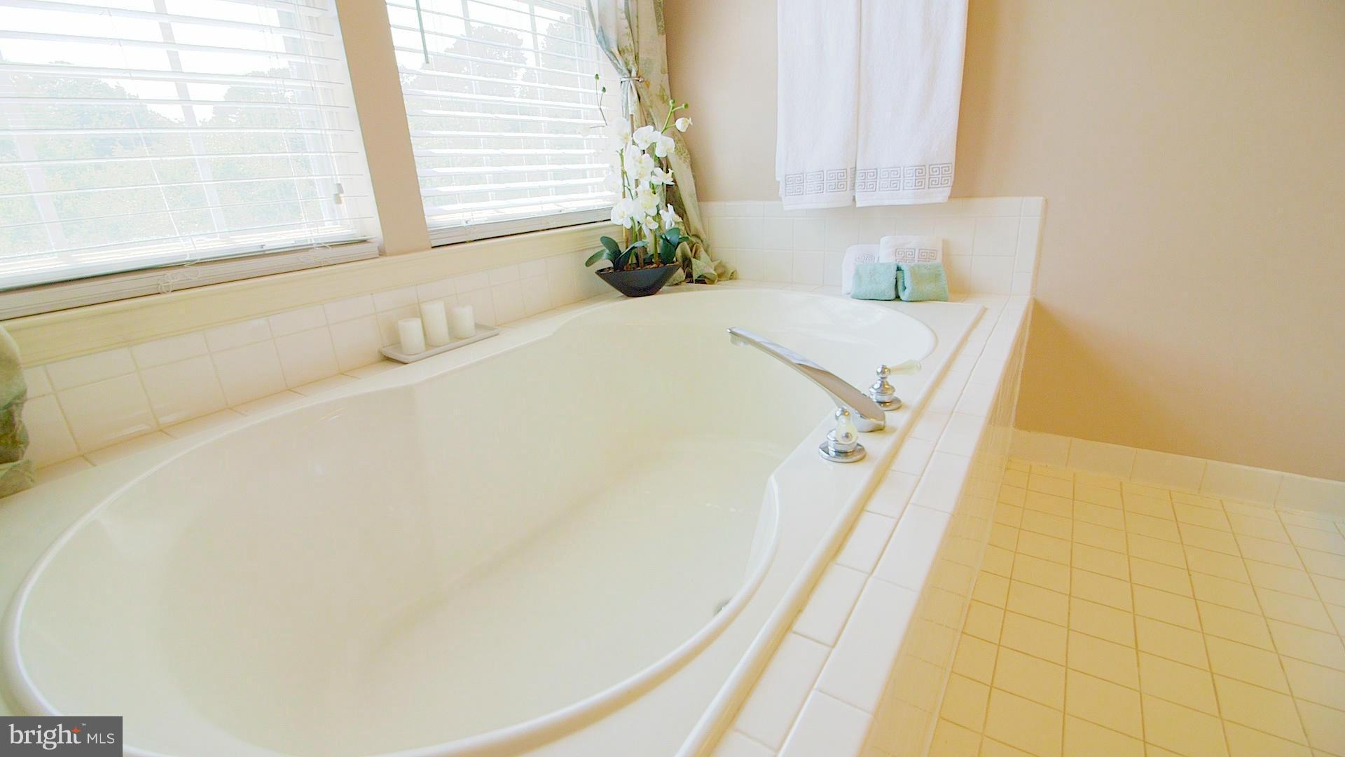3315 Pouska Road Abingdon, MD 21009 - Photo 20 of 30 Bath (Master)