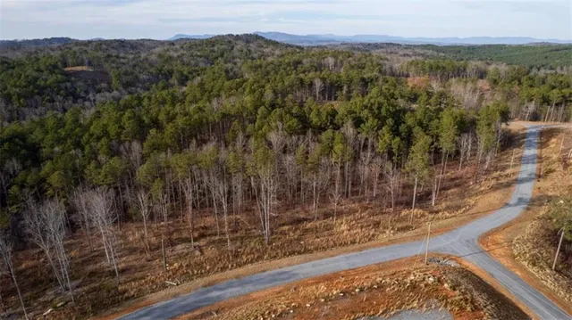 a view of a city with lush green forest