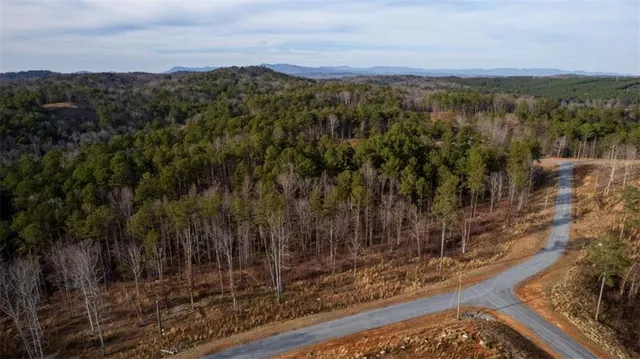 a view of wooden floor and a plant