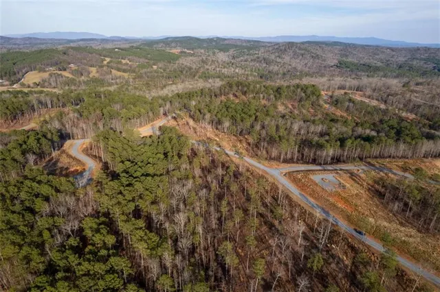 a view of a yard with trees