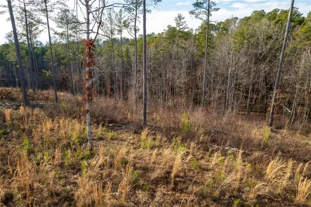 a view of a yard with trees