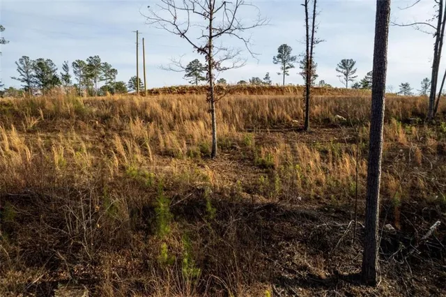 a view of a swimming pool and a yard
