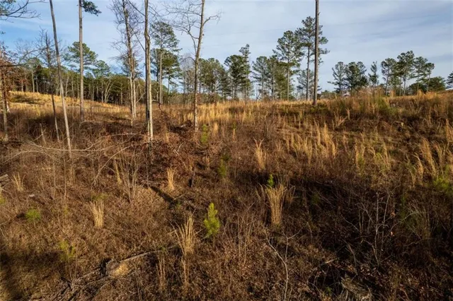 a view of a chairs and table in backyard of the house