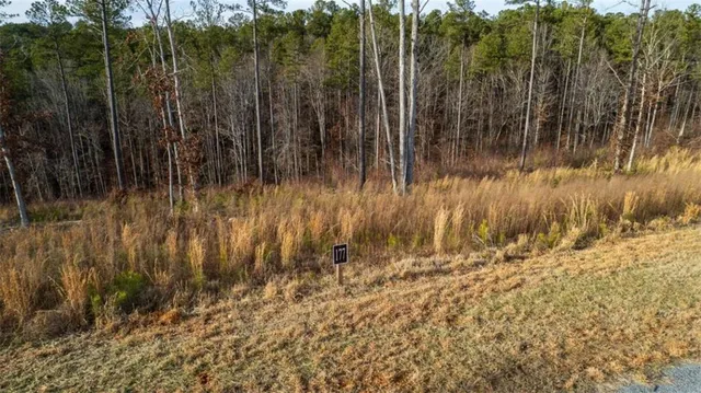 a view of backyard with green space