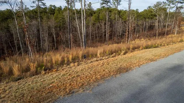 a view of a forest with trees