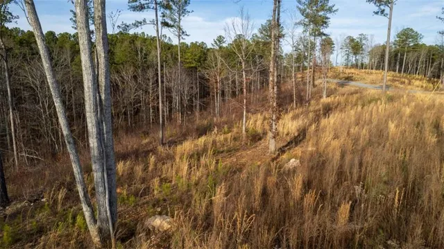 a view of a yard with wooden fence