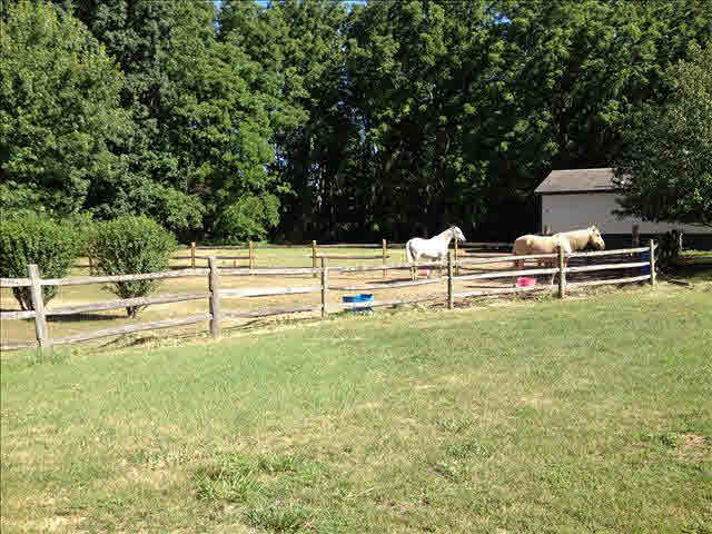 10148 Goff Road Temperance, MI 48182 - Photo 20 of 20 Land