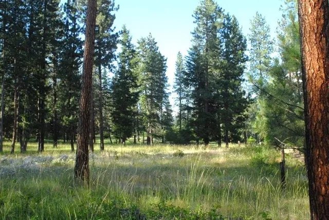 $310,000 | 3632 Critter Way, Kettle Falls, WA 99141