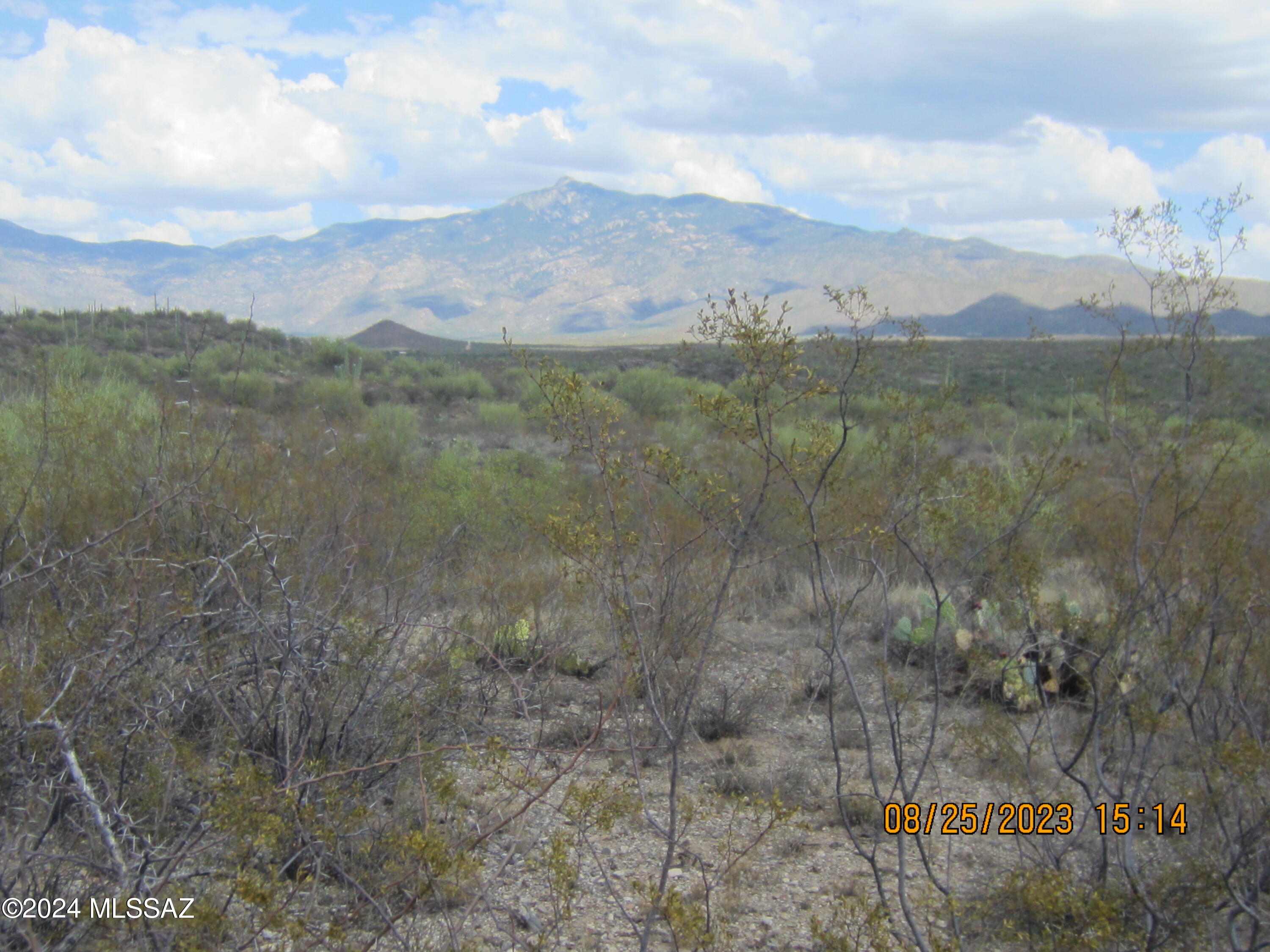 0 East Rincon Creek Ranch Road Tucson, AZ 85747 - Photo 18 of 46 Gallery Image 18