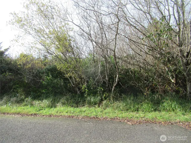 a view of outdoor space and trees