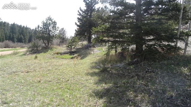 325 Valley Road Florissant, CO 80816 - Photo 12 of 17