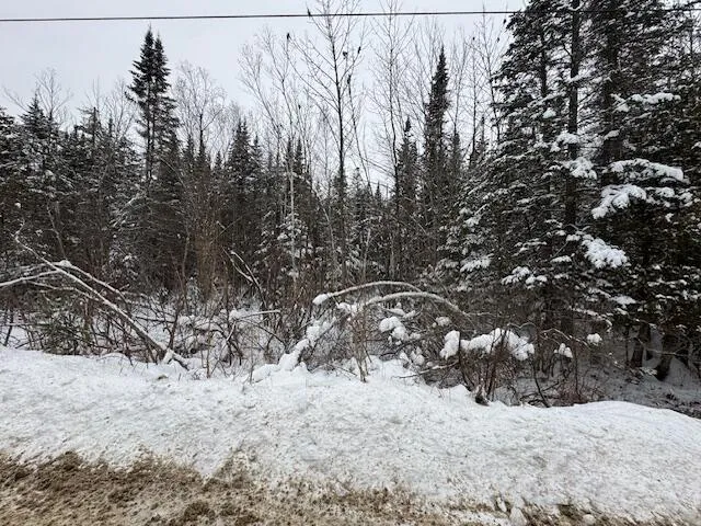 $44,900 | Lot 15-15 Stetson Road, Levant, ME 04456