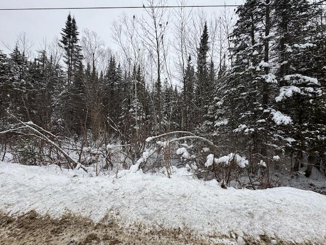 Lot 15-15 Stetson Road Levant, ME 04456 - Photo 4 of 4 Private