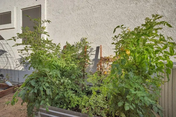 $3,450 | 45180 Debbie Drive, La Quinta, CA 92253